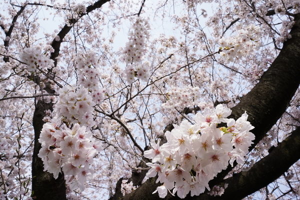 f:id:gzutetsu:20220402141619j:image