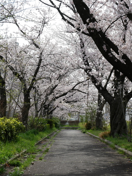 f:id:gzutetsu:20220402141810j:image
