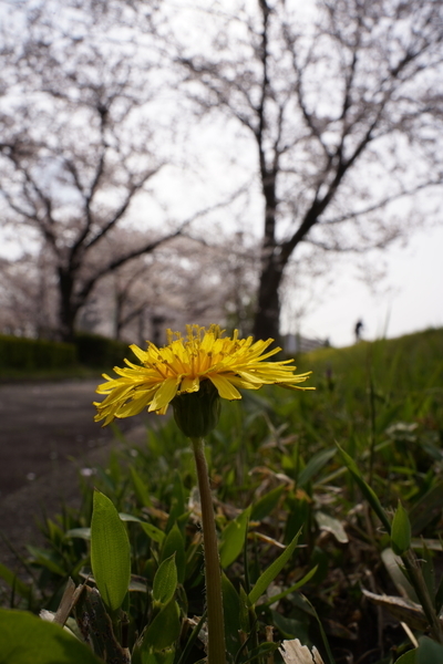 f:id:gzutetsu:20220402142147j:image