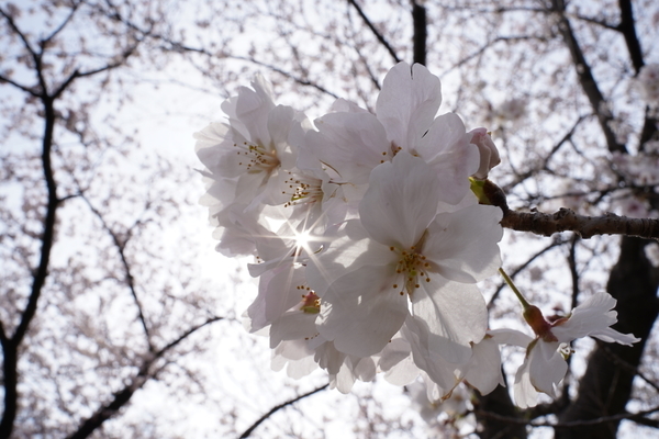 f:id:gzutetsu:20220402142303j:image