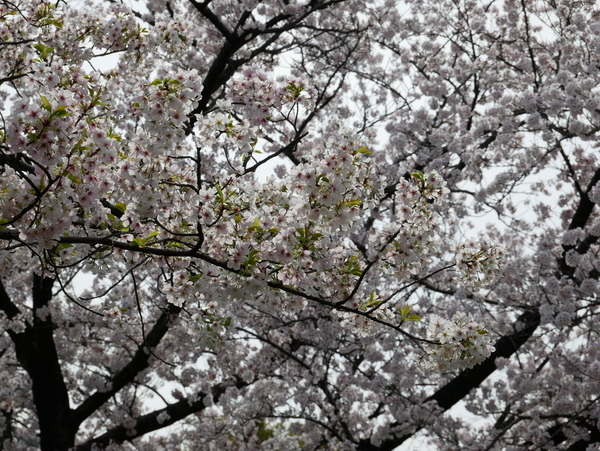 f:id:gzutetsu:20220402142644j:image