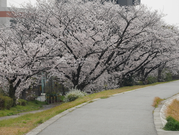 f:id:gzutetsu:20220402145605j:image