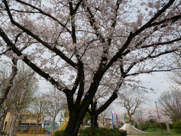f:id:gzutetsu:20220402151535j:image