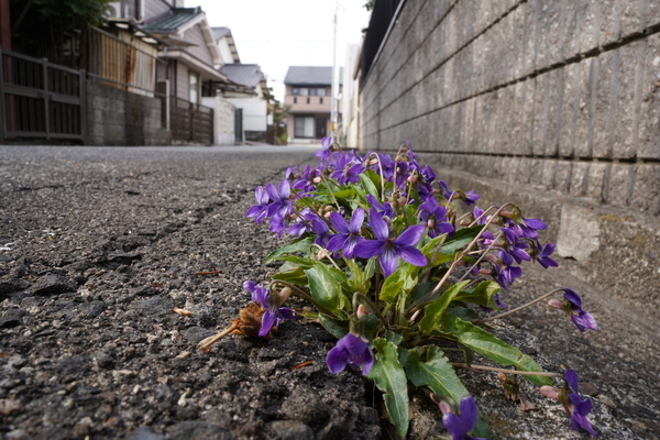 f:id:gzutetsu:20220402152938j:image