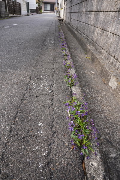f:id:gzutetsu:20220402153005j:image