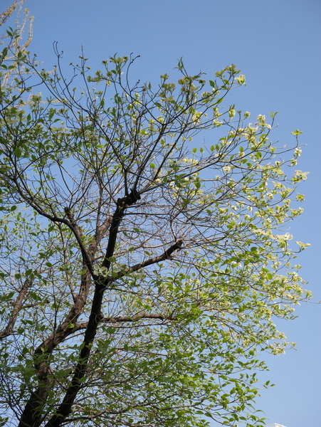 f:id:gzutetsu:20220408083540j:image