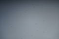 20250712174349