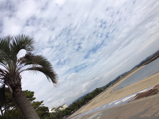f:id:h-10166:20171020001951j:plain