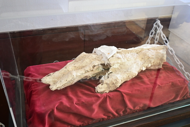 丘の上のクラーク」(坂坦道)像の設置50周年で、さっぽろ羊ケ丘展望台に