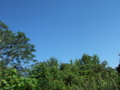 20160903225504