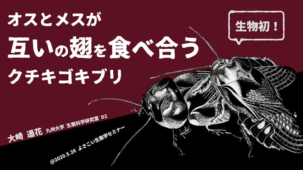 知の創造