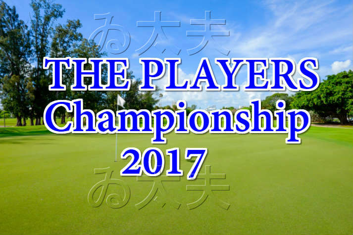 f:id:h-idayu:20170410010733j