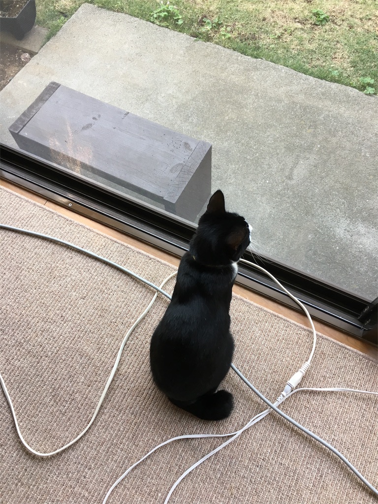 f:id:h-katori:20180515223452j:image