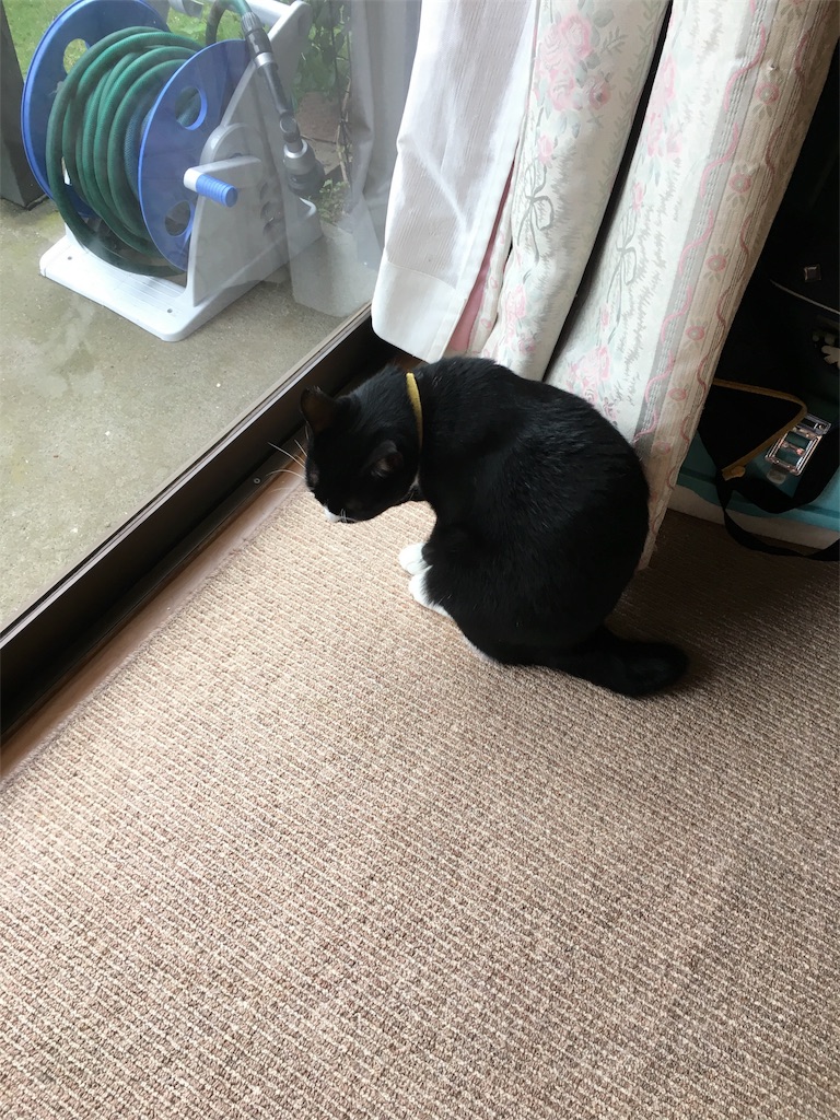 f:id:h-katori:20180617215901j:image