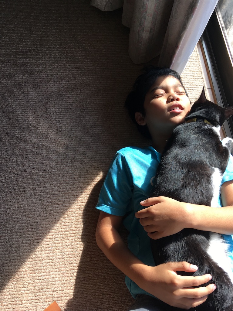 f:id:h-katori:20181117122114j:image