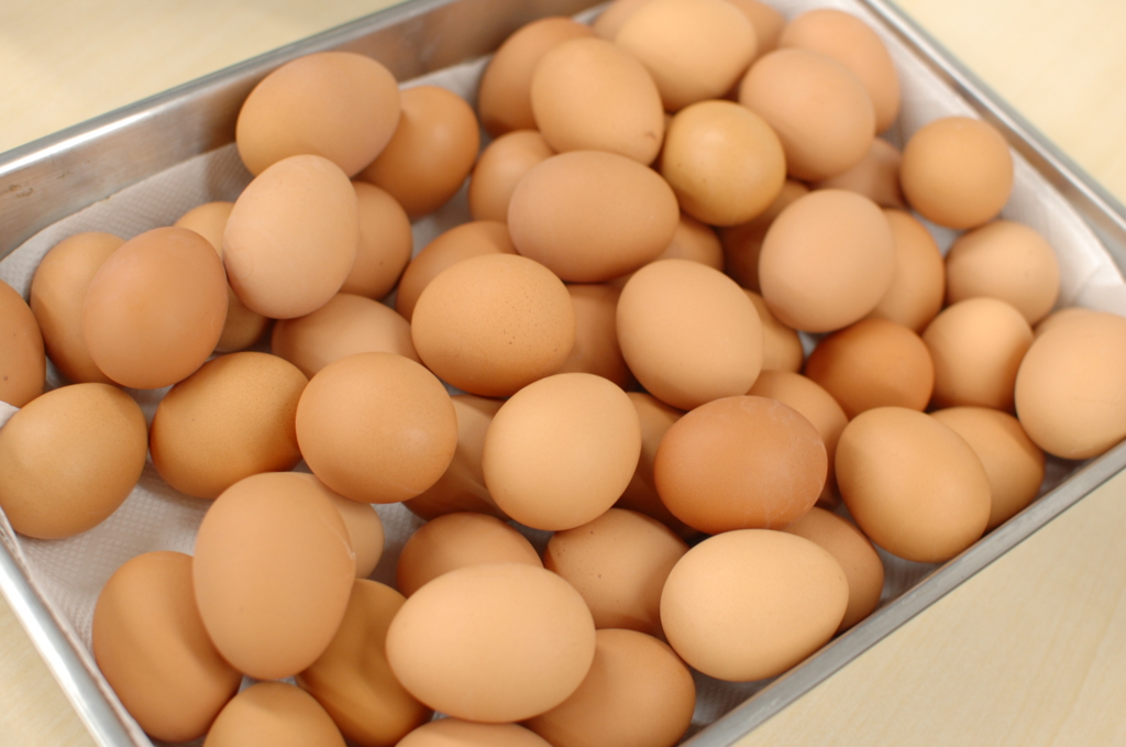 f:id:h-katsuno:20170112133602j:plain