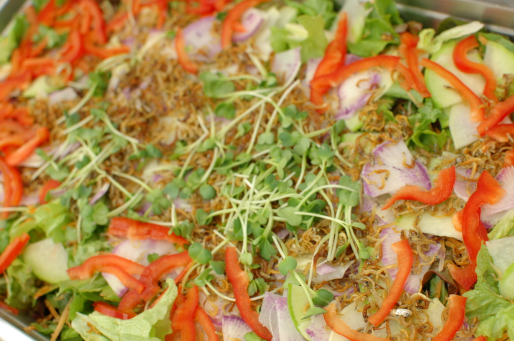 f:id:h-katsuno:20170123132900j:plain