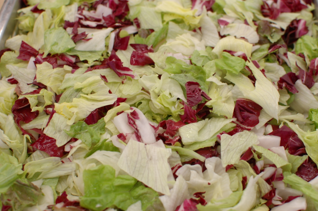 f:id:h-katsuno:20170126132808j:plain