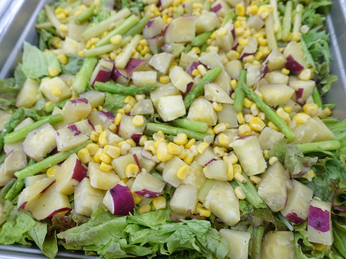 f:id:h-katsuno:20190905125734j:plain