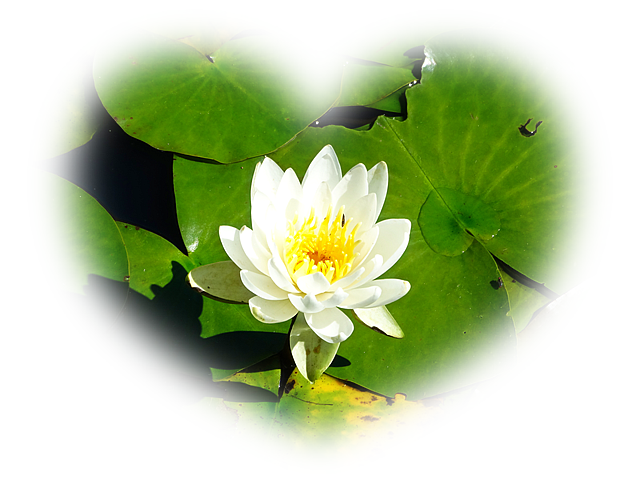f:id:h-kawa0619:20190617103656p:plain f:id:h-kawa0619:20190617103656p:plain