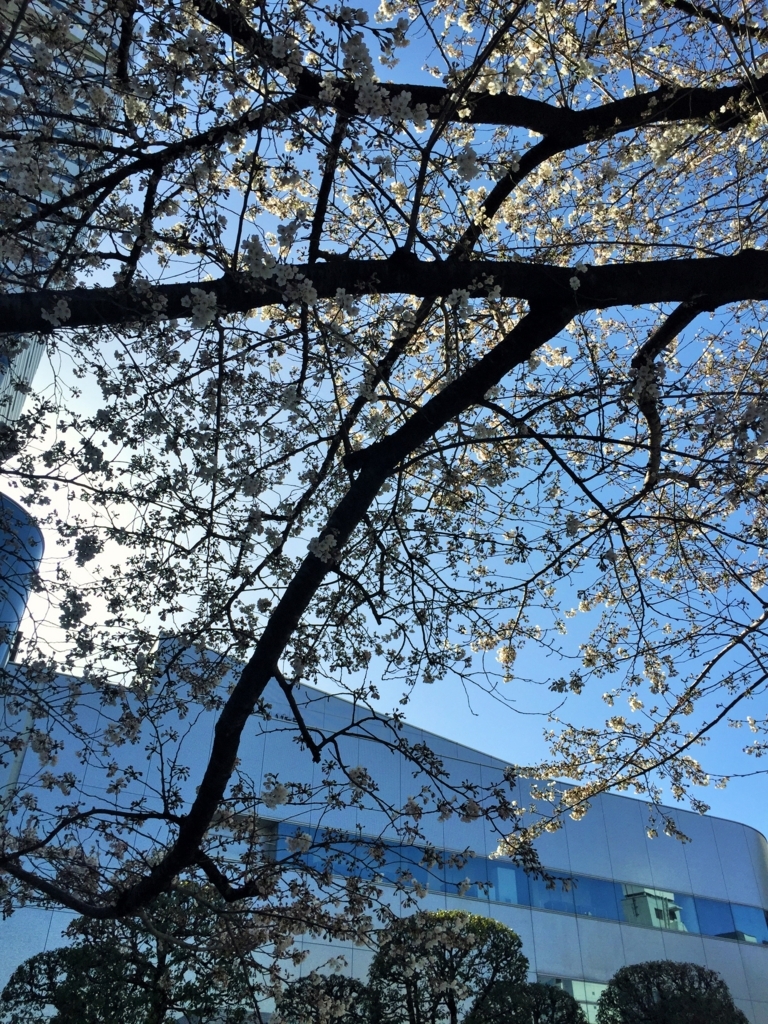 f:id:h-kiyo:20180401213545j:plain f:id:h-kiyo:20180401213545j:plain