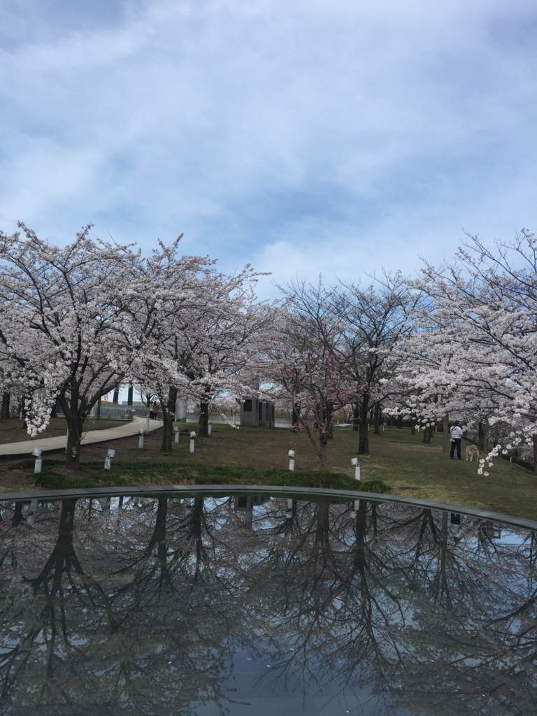 f:id:h-kiyo:20180410195223j:plain f:id:h-kiyo:20180410195223j:plain
