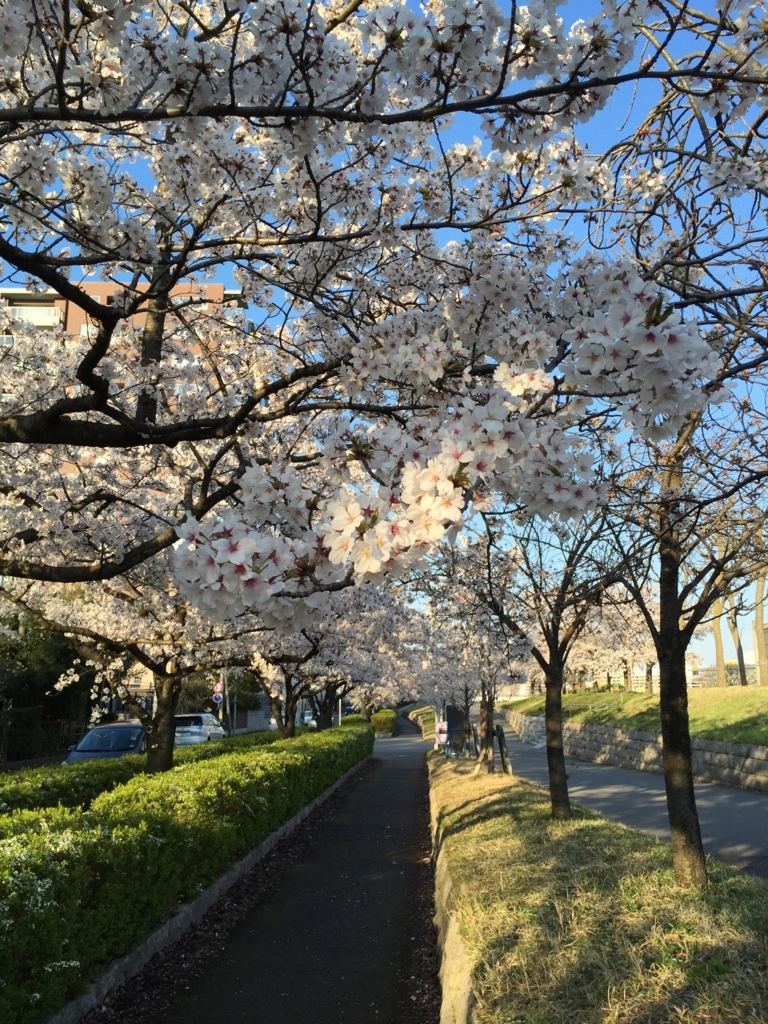 f:id:h-kiyo:20180410195300j:plain f:id:h-kiyo:20180410195300j:plain