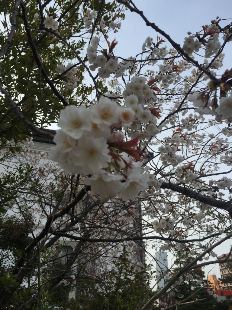 f:id:h-kiyo:20180410195340j:plain f:id:h-kiyo:20180410195340j:plain