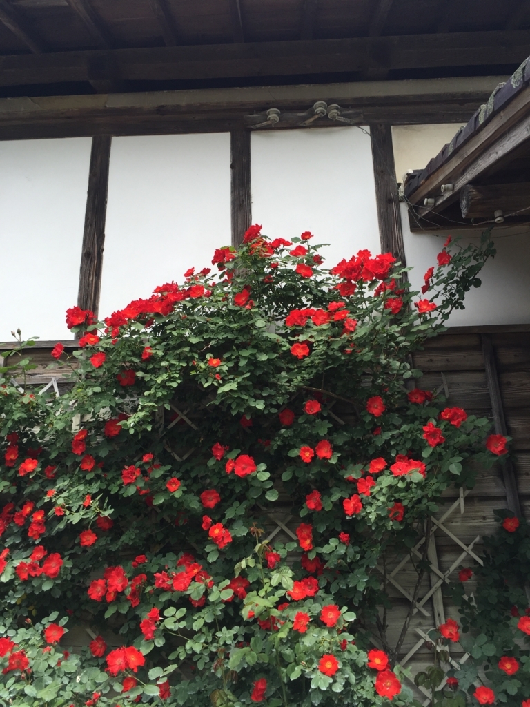 f:id:h-kiyo:20180603205836j:plain f:id:h-kiyo:20180603205836j:plain