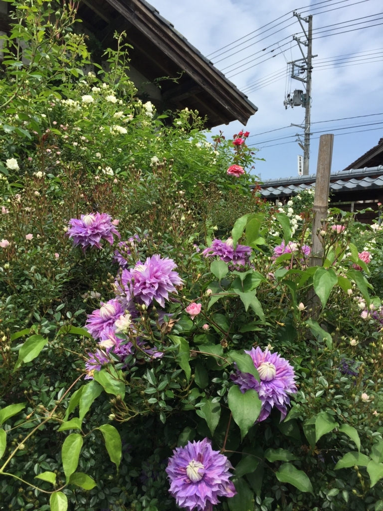f:id:h-kiyo:20180603205912j:plain f:id:h-kiyo:20180603205912j:plain