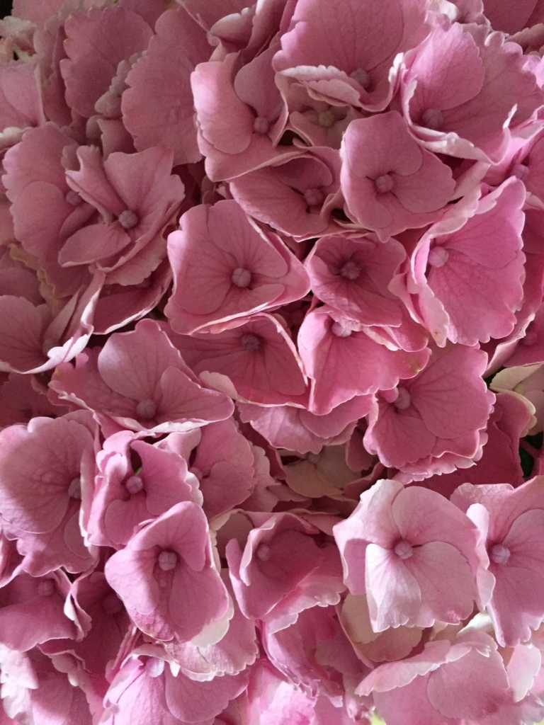 f:id:h-kiyo:20180603224923j:plain f:id:h-kiyo:20180603224923j:plain