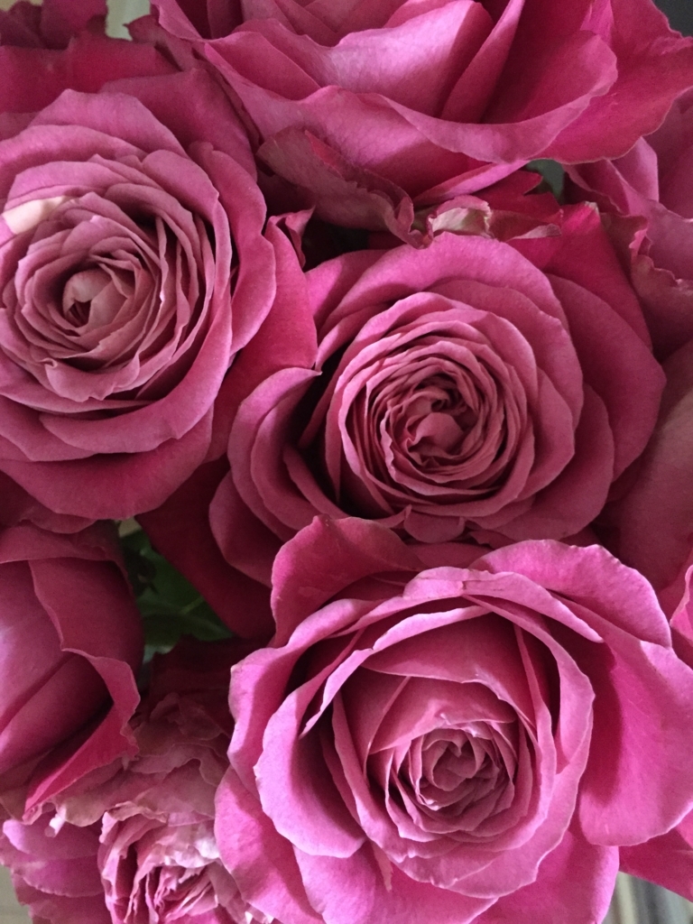 f:id:h-kiyo:20180603224939j:plain f:id:h-kiyo:20180603224939j:plain