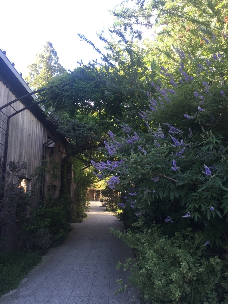 f:id:h-kiyo:20180725054147j:plain f:id:h-kiyo:20180725054147j:plain
