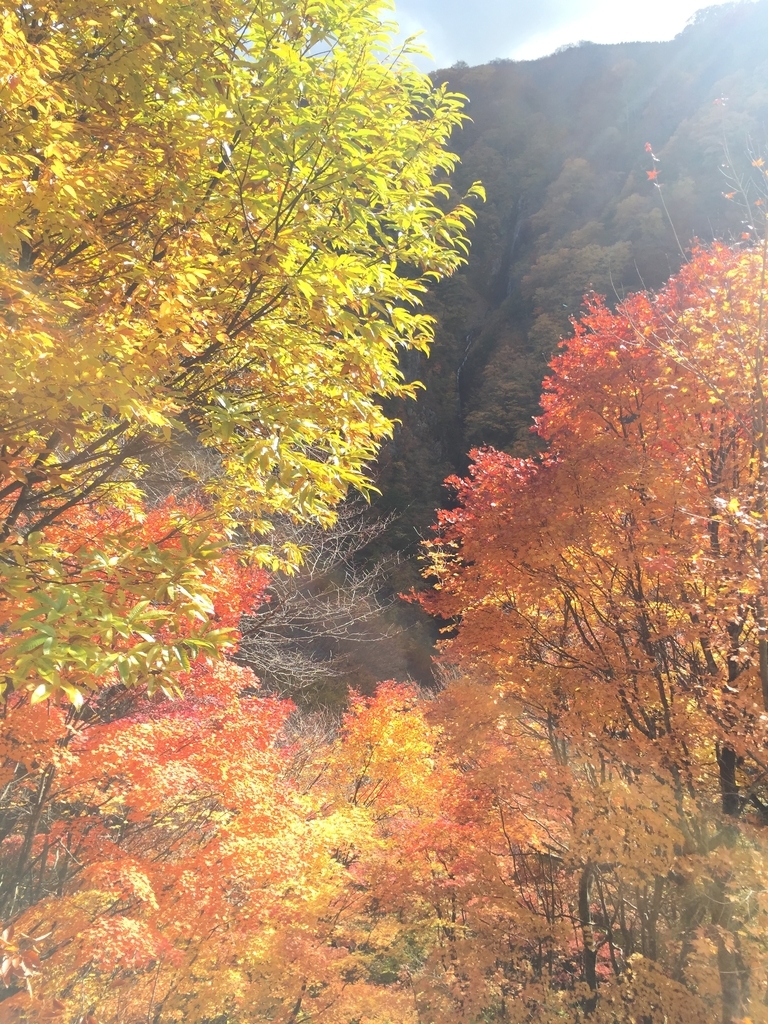 f:id:h-kiyo:20181123214724j:plain f:id:h-kiyo:20181123214724j:plain