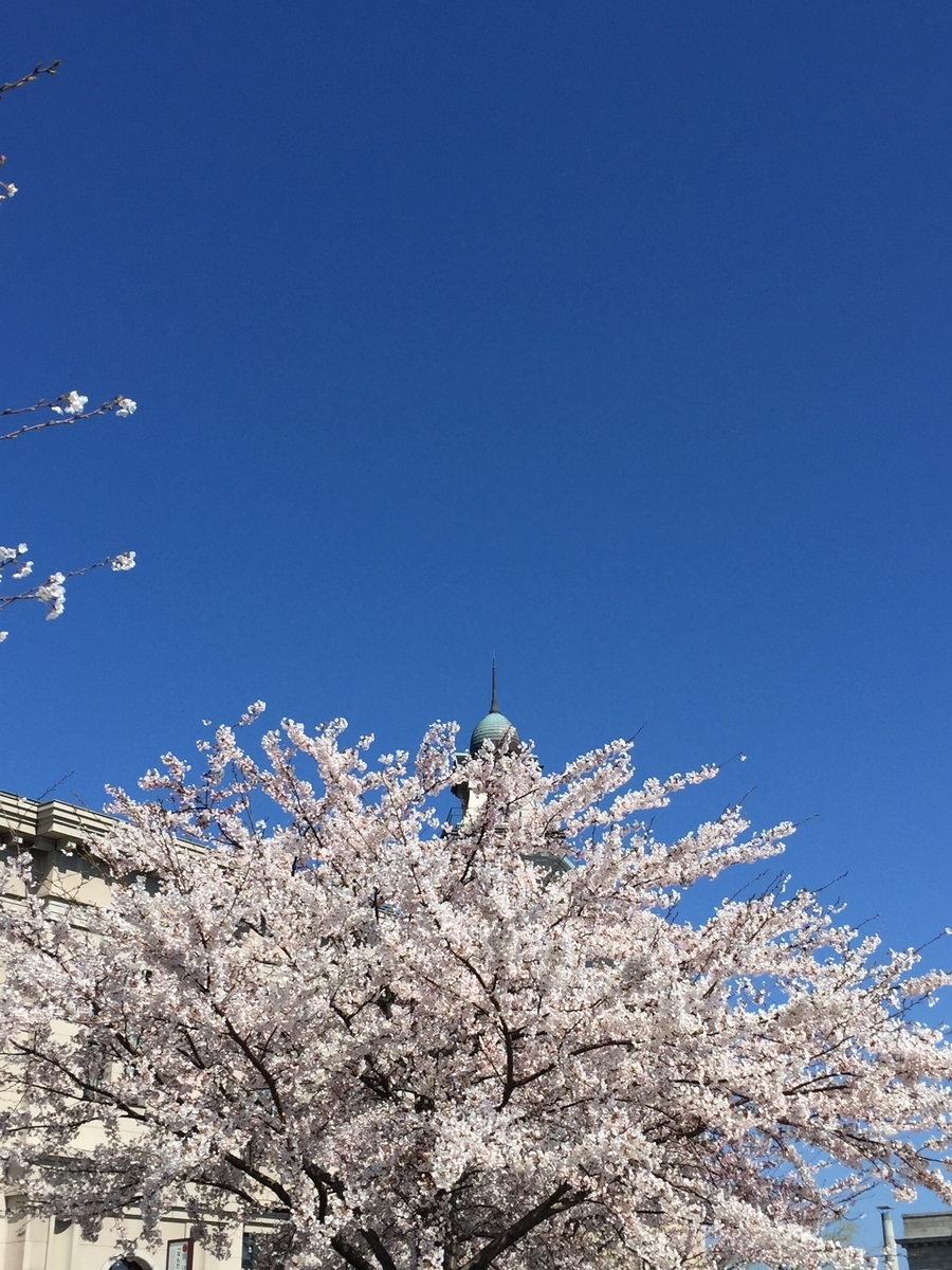 f:id:h-kiyo:20190428202013j:plain f:id:h-kiyo:20190428202013j:plain