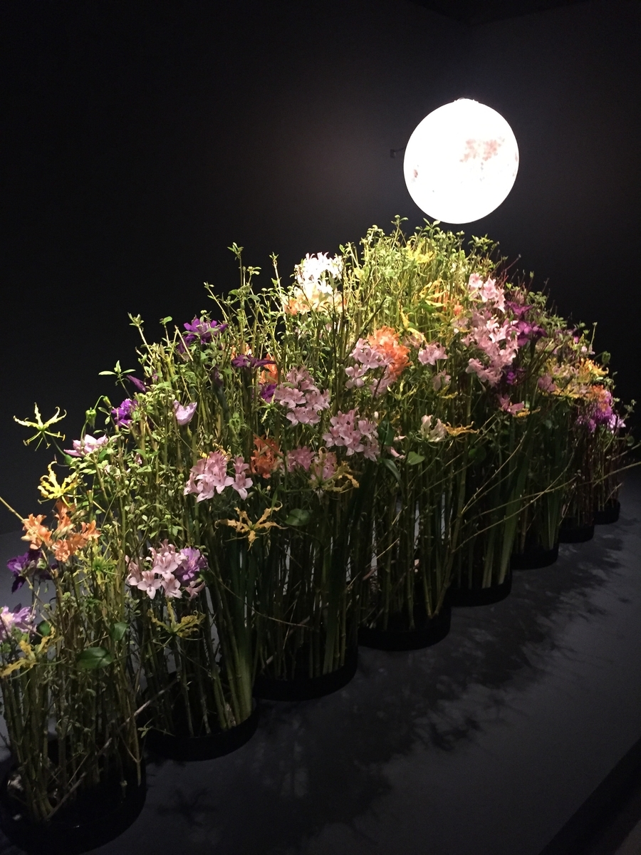 f:id:h-kiyo:20190612214615j:plain f:id:h-kiyo:20190612214615j:plain