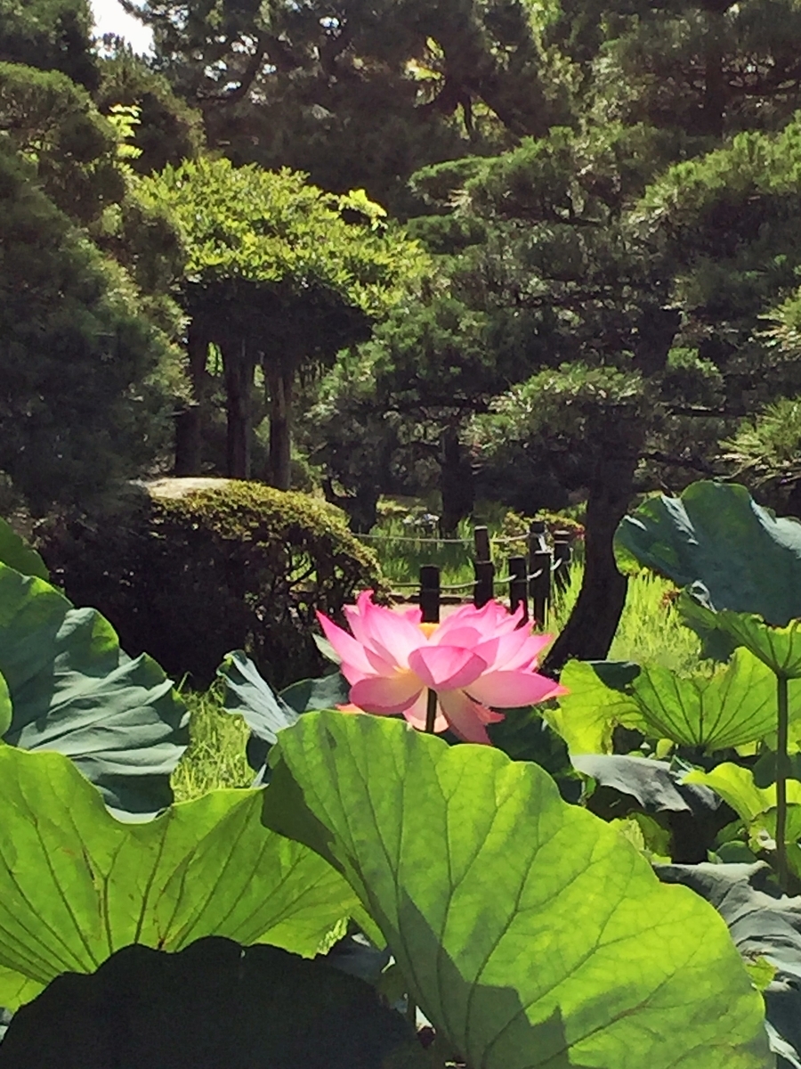 f:id:h-kiyo:20190728205634j:plain f:id:h-kiyo:20190728205634j:plain