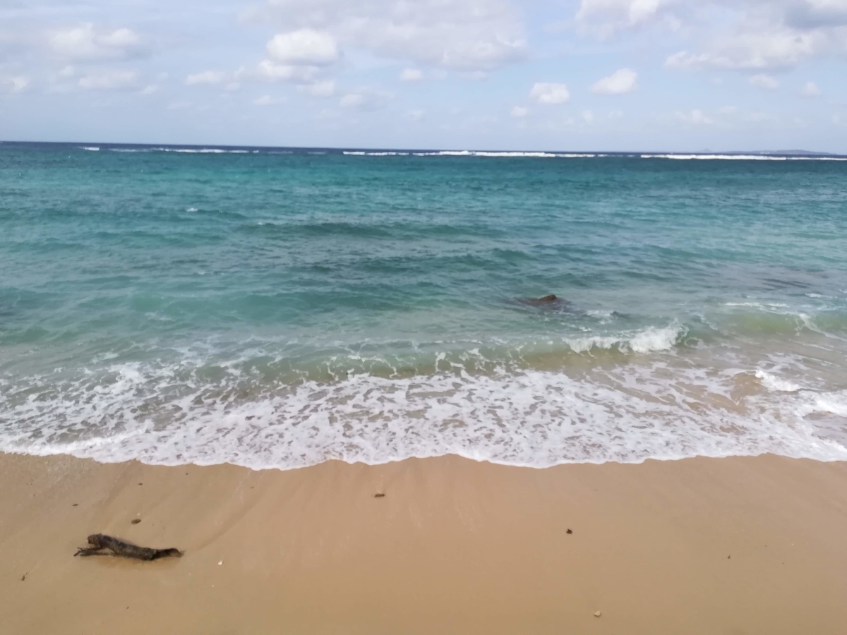 f:id:h-matsug:20210320192054j:plain