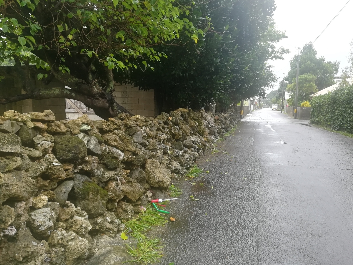 f:id:h-matsug:20210404215323j:plain
