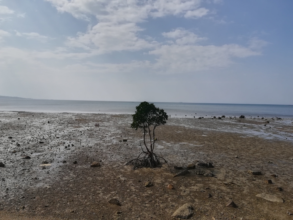 f:id:h-matsug:20210519212410j:plain