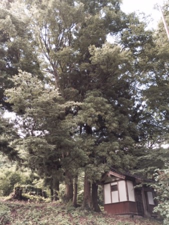 f:id:h-ninomiya:20141120153216j:image