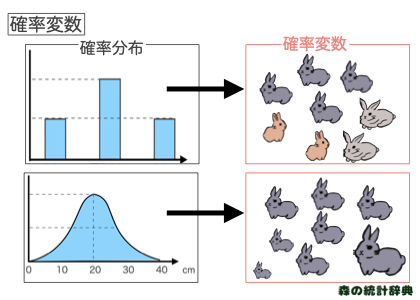 確率変数とは