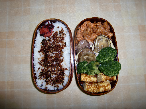 20100528204237