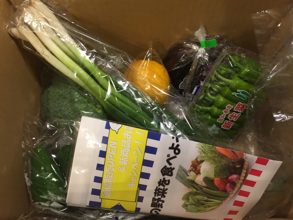 ふるさと納税、高知県奈半利町旬の野菜の詰め合わせ（2回目）が届きました！ Tバッグ