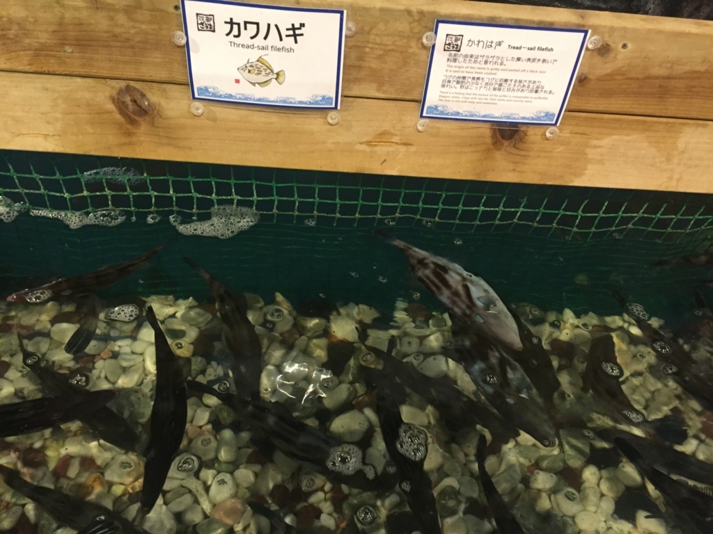 釣船茶屋ざうお