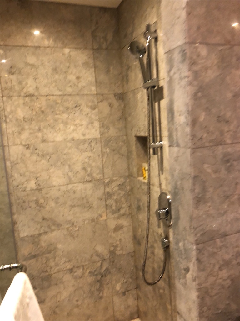 Hyatt City of Dreams Manila ハイアットシティオブマニラ
