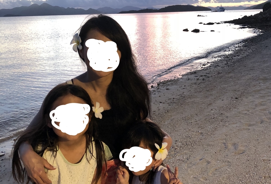 f:id:h163932:20181207161255j:plain f:id:h163932:20181207161255j:plain