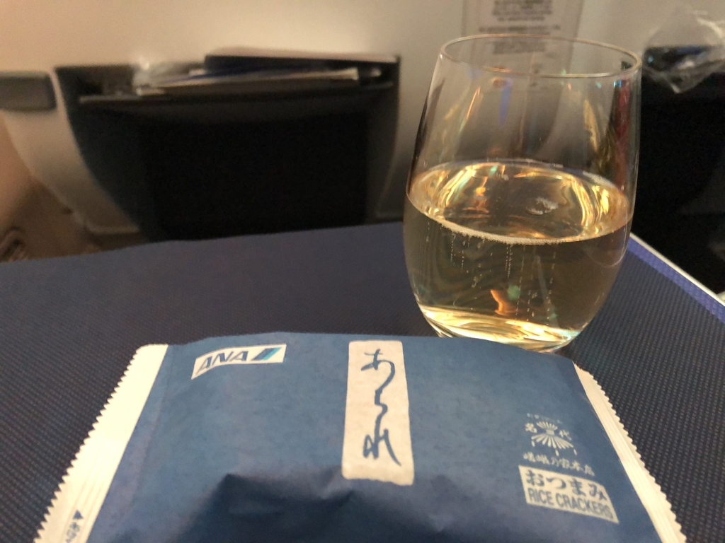 陸マイル タダ 飛行機 旅行 デメリット メリット 感想