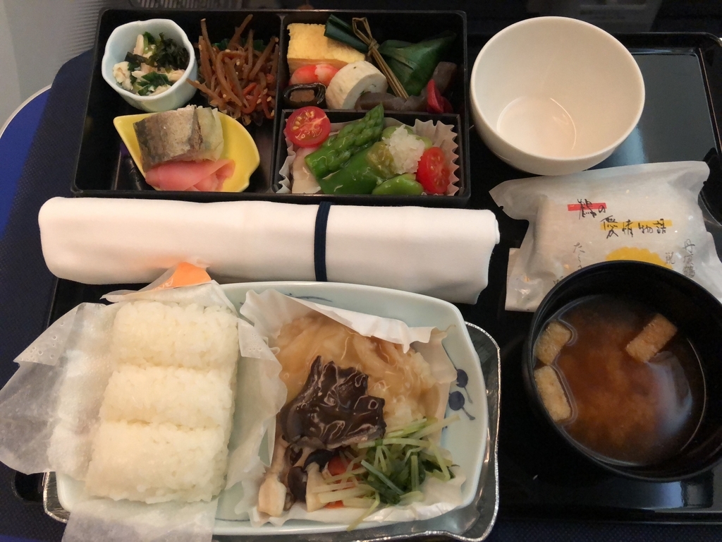 陸マイル タダ 飛行機 旅行 デメリット メリット 感想