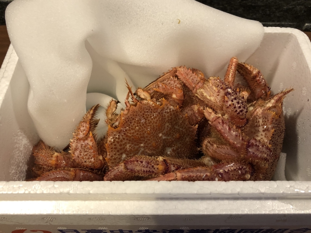ふるさと納税 北海道浦河 うらかわ 町 日高産の活き毛ガニが届きました 2尾セットと3尾セットを比較食べ 2尾セットがオススメな理由 ふるさと納税 北海道浦河 うらかわ 町 日高産の活き毛ガニが届きました 2尾セットと3尾セットを比較食べ 2尾セットがオススメな理由